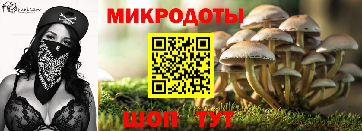 Галлюциногенные грибы ЛСД  Вход с VPN  Острогожск  Галлюциногенные грибы Psilocybe 